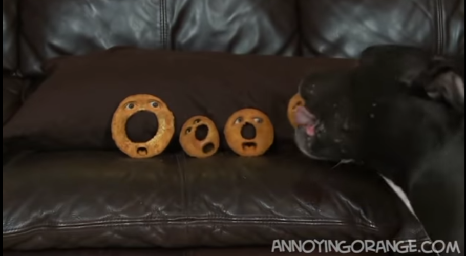 My dog ate an onion ring cheap
