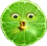 Lime Slice/Gallery | Annoying Orange Wiki | Fandom