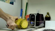 Pineapple getting cut