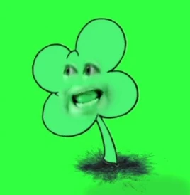 Clover