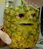 Pineapple without his hair