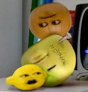 Midget Pumpkin, one of the three survivors of the Halloweenie attack.