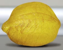 Inanimate Grandpa Lemon