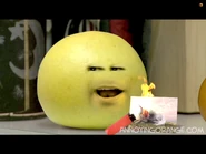 Grapefruit burns Marshmallow's photo of Princess Butterfly Kiss.