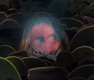 Apple Begining Melting