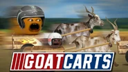 GoatCarts.jpg (134 KB)