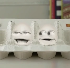CartonEggs