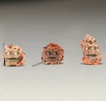 The Crumb Gang
