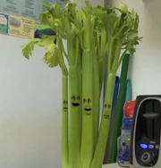 Celery