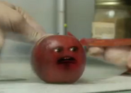 Slideshow2.png (92 KB) Apple being Knifed