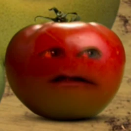 TomatoesAreFRUITS