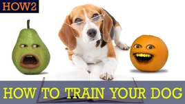 HOW2trainyourdog