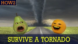 HOW2surviveatornado