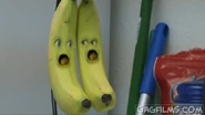 The Bananas screaming.