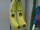 Bananas/Gallery