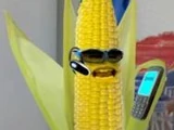 Cob