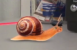 Snail