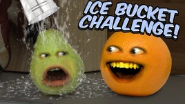 AOIceBucketChallenge