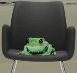 Frogchair