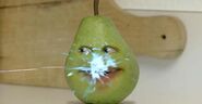 Marshmallow disguised as Pear being squirted with water by Grapefruit disguised as Midget Apple