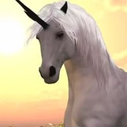 Princessbutterflykiss