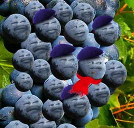 SourGrapes