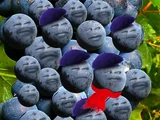 Sour Grapes