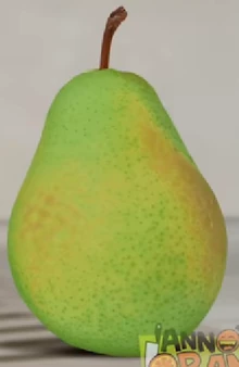 Inanimate Pear