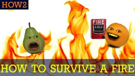 How2SurviveAFire