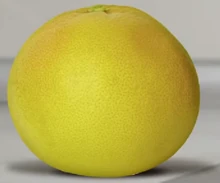 Inanimate Grapefruit