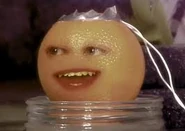 Orange rigged to the trap