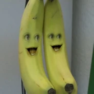 Bananas