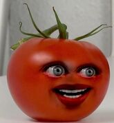 AO Girl Tomato