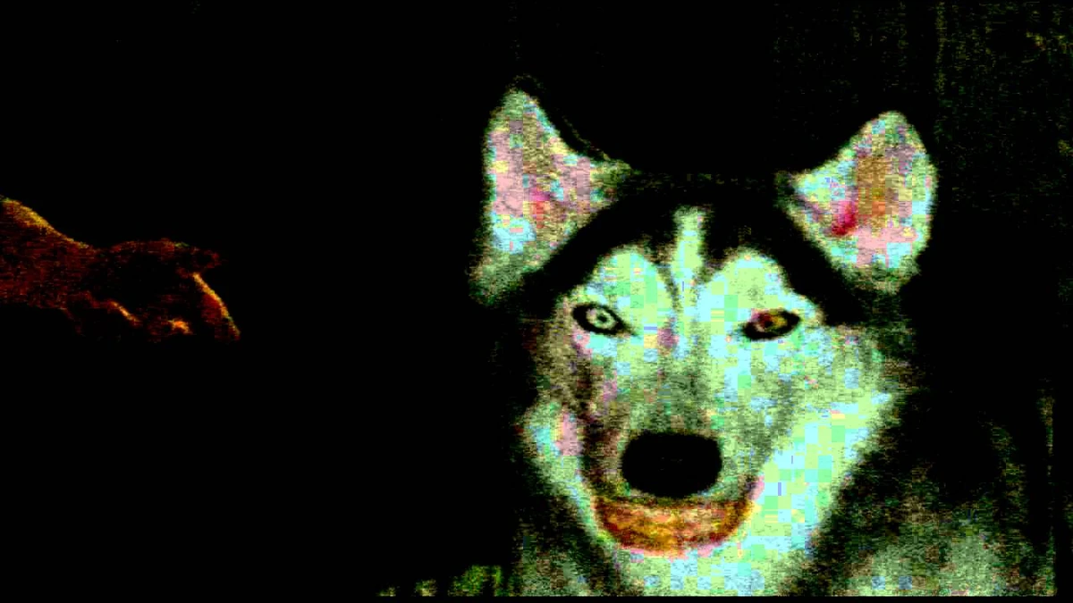 Smile dog картинки оригинал