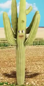 AO Cactus