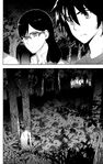 J013.jpg (252 KB)