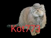 "ОС" КОТ2013(773)
