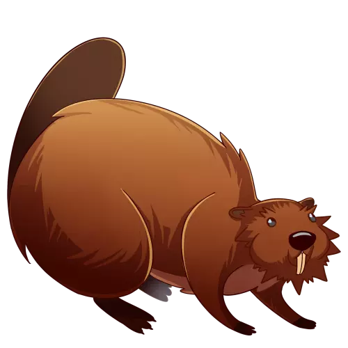 Berb (Beaver) | Another Chance Wiki | Fandom