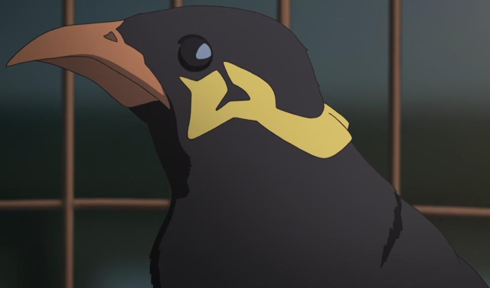 Flying Witch – 03 – 31 The Birds – Clouded Anime