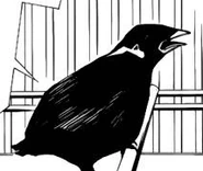 Rei's appearance in the manga.