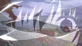 The bird hits the glass