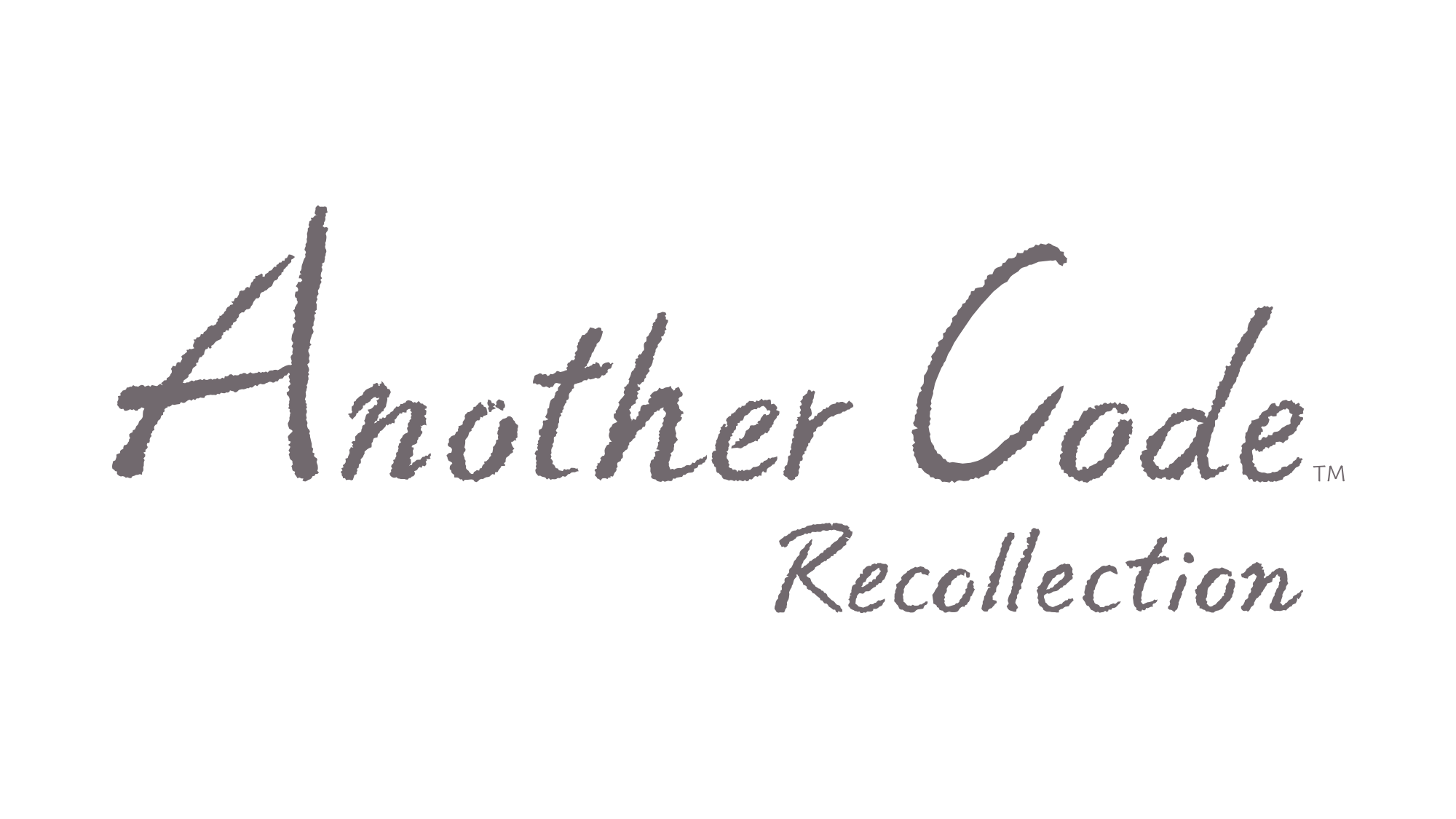 Another Code: Recollection, Cing Wiki