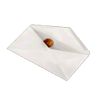 Item-Last Window-Envelope with Coin