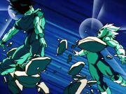 Potara-1.jpg