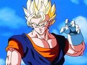 Vegetto ssj2.jpg