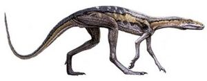 Lagosuchus