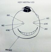 Koro twarz