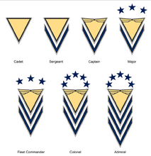 I.F. rank insignias as seen in the film.