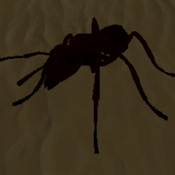 Ant Life Wiki Fandom - how to dig in ant simulator roblox