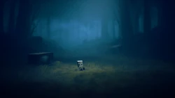 Mono erwacht im Wald